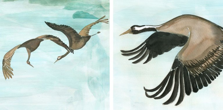 00_Seite_01_Kraniche_2_Web_1800x900