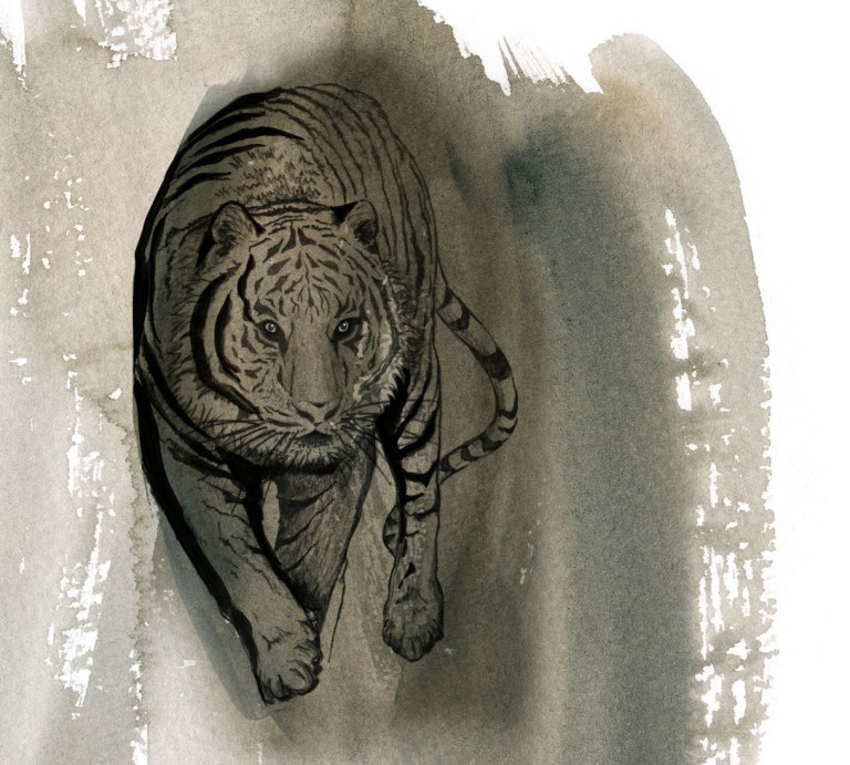 01_Tiger_Eb_red_Anschnitt_Web_1085_breit