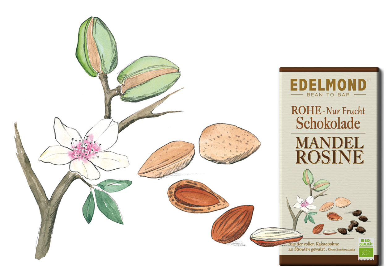 Bild_Edelmond_Mandel_2_Web