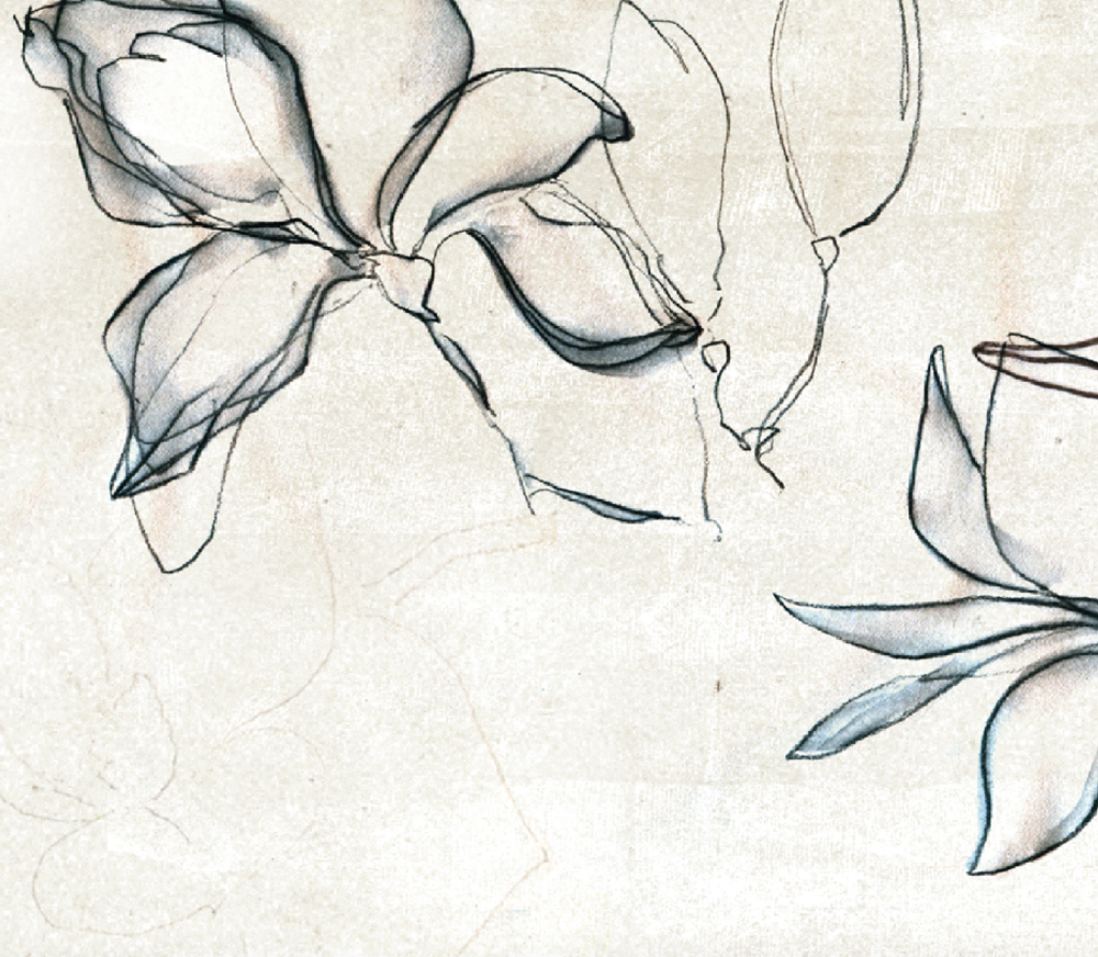 Magnolien_Anschnitt_1000