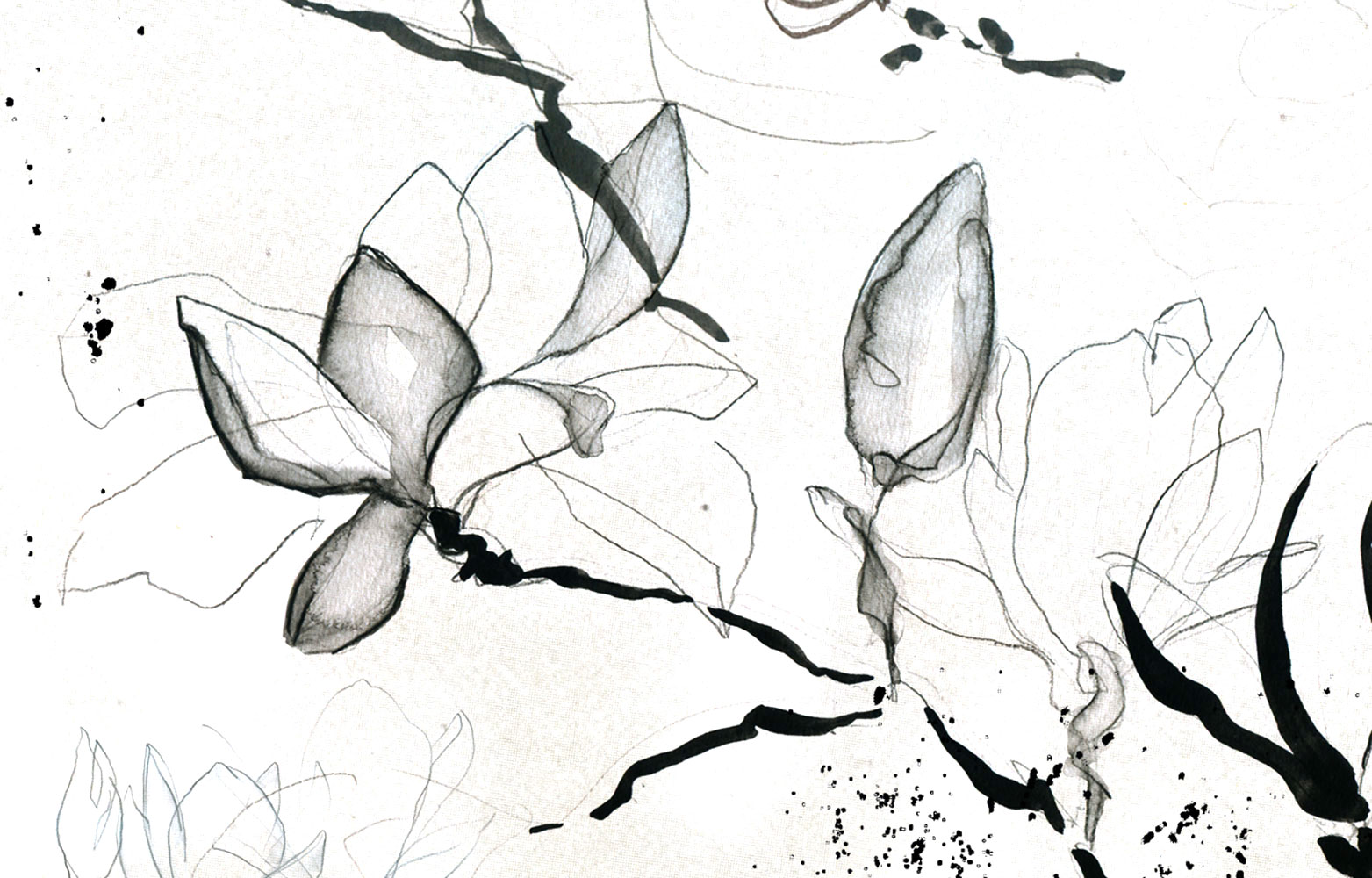 Magnolien_vintage_Anschnitt_Icon_Web_1000hoch_2